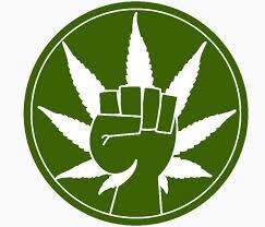 Owner of MMJ Life Style Magazine.  We feature articles, news and other items for the new patients of MMJ.  Come visit us at http://t.co/ktrbstDs6p