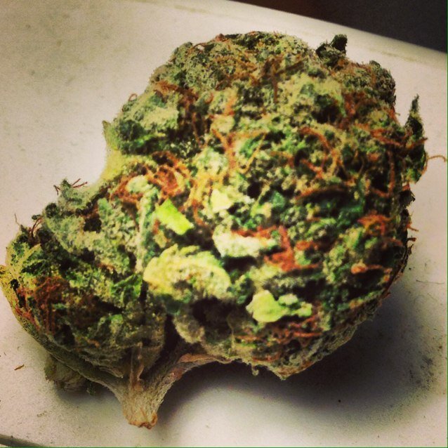 I ship medicalmaryjane globally cheap and safely. | 20$ 2.5gs | 60$ quads | 190$ ozs | OVERNIGHT✈️GUARANTEED100% INSTAGRAM: SMOKEMEDICAL