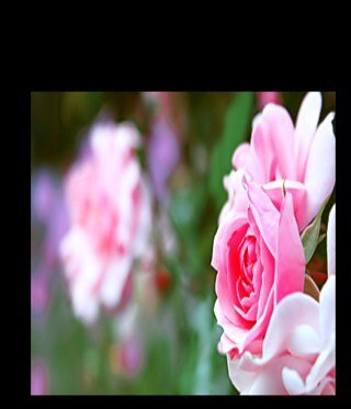 ابلغ من العمر تسع سنوات