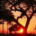 عبدالله آلفاهمي (@23404EBF) Twitter