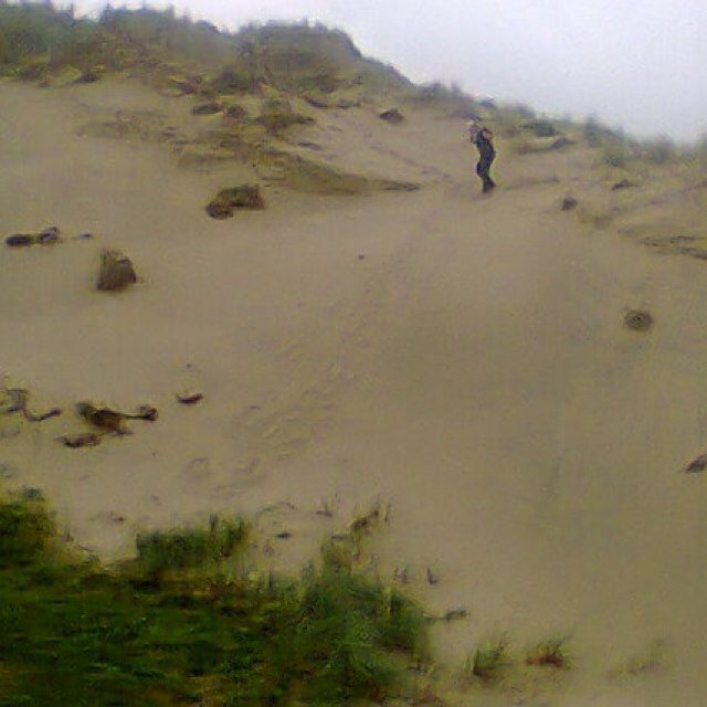 fisioterrorist's profile picture. I'm a physiotherapist and LFC fan. I play the odd round of golf too but not as many as I would like! For work stuff see @aidanrooney6