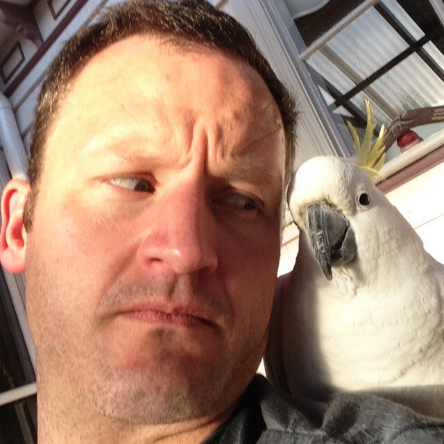 davidcwilson17 Profile Picture