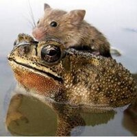 zouhou (@zouhou) Twitter profile photo