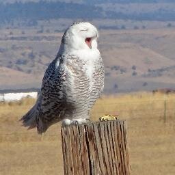 pandorasbox789's profile picture. 