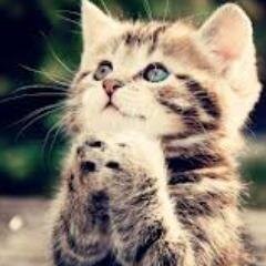 Fighting to get the best is easier than fighting to maintain it.. :)