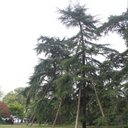 Kathy Marx - @ChattyKathy1998 - Twitter