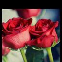 ام ريما ♥ (@1397Aisha) Twitter