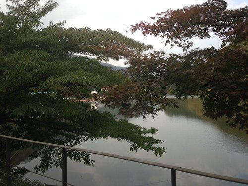 eshyun's profile picture. 