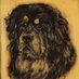 Гарц үргэлжид байдаг! (@mongolian_doggy) Twitter profile photo Гарц үргэлжид байдаг! (@mongolian_doggy) Twitter profile photo