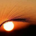 الحمدالله (@0505885853) Twitter