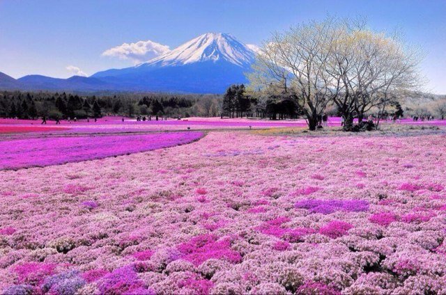 Fascinating pictures of places, people, animals and nature. We show you the world. We do not claim rights
 to our pictures.

follow!!