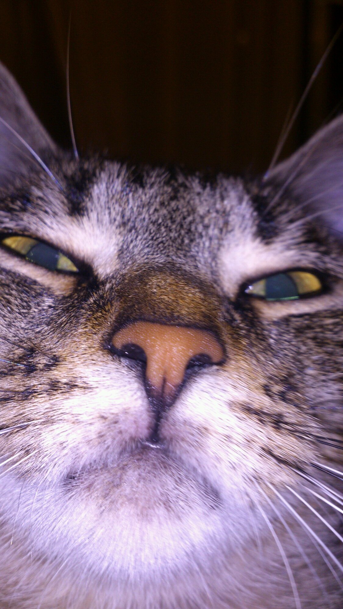 nurbenet's profile picture. 