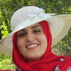 NasimVakilitw's profile picture. 