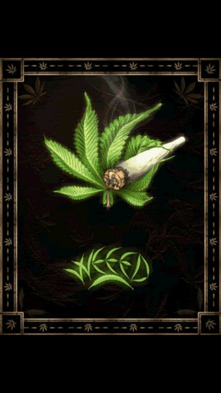 Smoke weed,Stay free