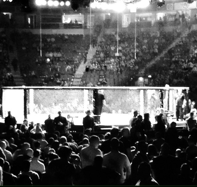 theropesUK's profile picture. Website bringing you the latest news and fight reports from the world of boxing and MMA