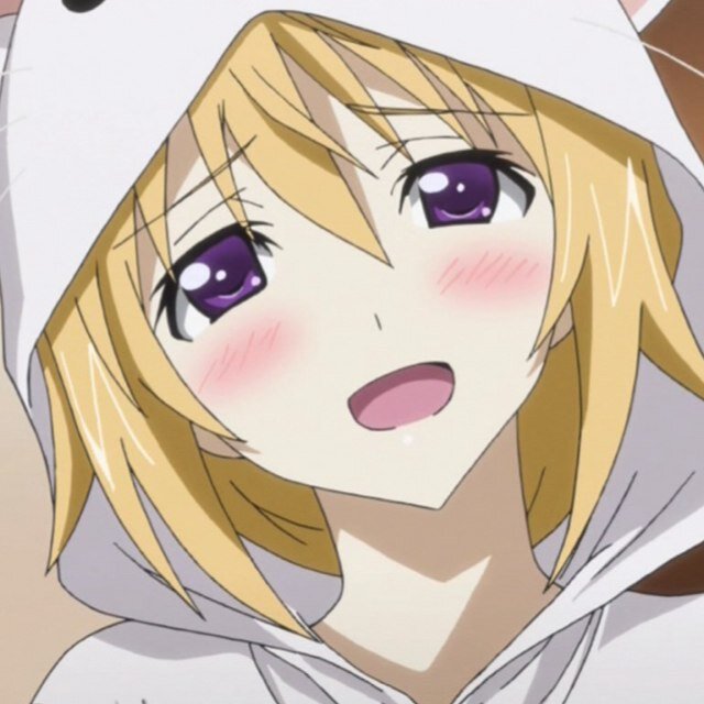 シャルロット デュノア Syaru D Is Twitter シャルロット デュノア Syaru D Is Twitter
