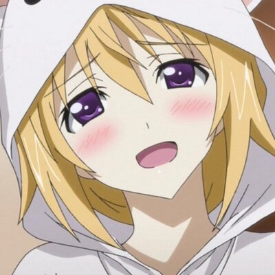 シャルロット デュノア V Twitter 私を妹or弟or兄or姉or父親or母親or彼女or彼氏or嫁or旦那or従兄弟or恋愛対象 Orナイトor性奴隷or飼い猫or相棒orご主人様or執事or枕orメイドor抱き枕orペットにするならどれ
