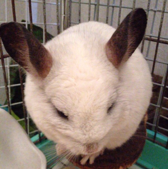 エコとマグネとガジェットをこよなく愛する不自由人です。 ＊ツイートする内容は所属する組織の見解ではなく、あくまで個人的な見解によるものです。 ＊無駄にRTやfavのみを繰り返すアカウントは理解不能なためブロックすることがあります。