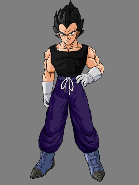 I am Vegeta Prince of all Saiyans I'm not to be messed with