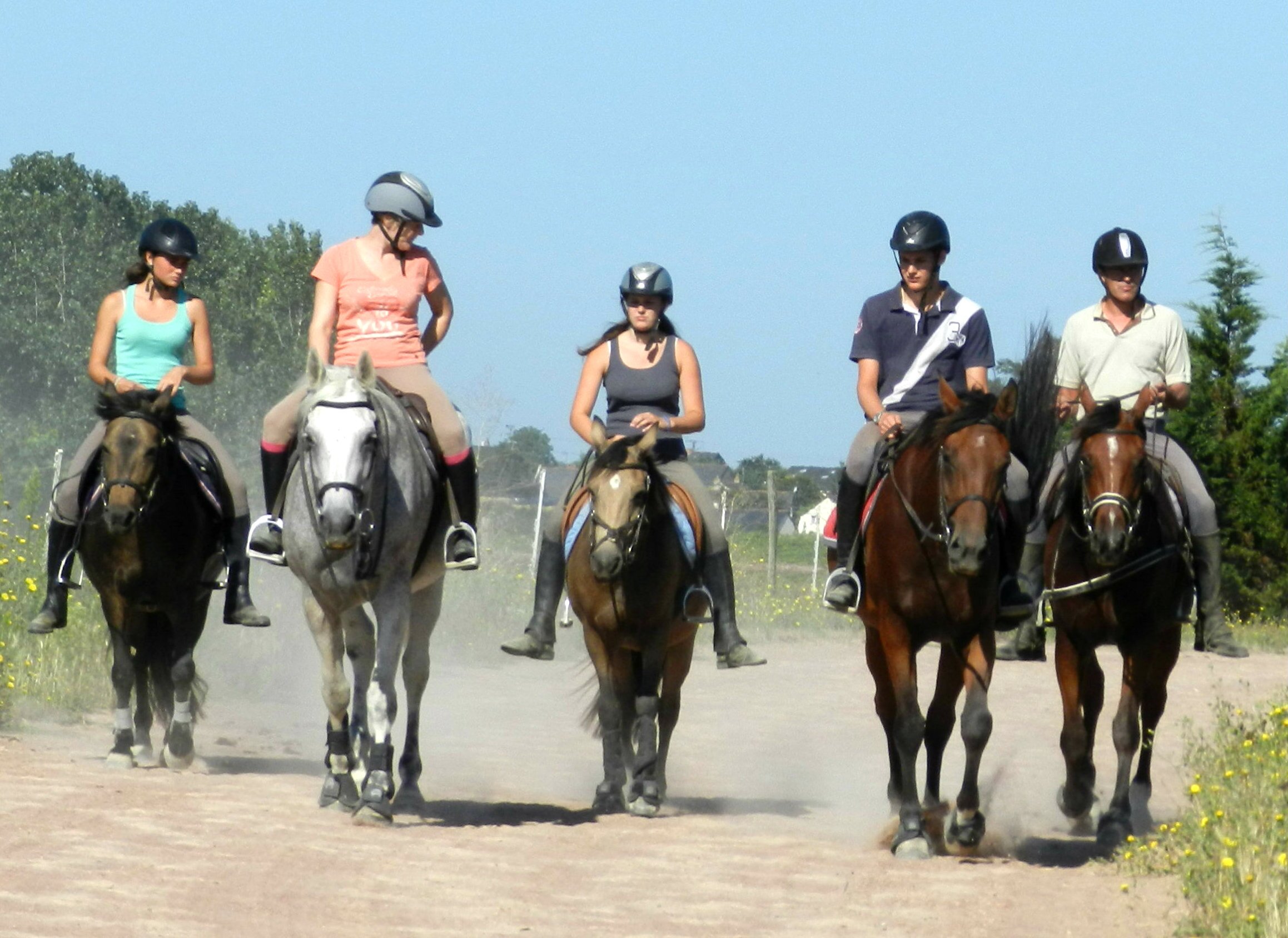 Team La Grezille : , 8 chevaux, 7 cavaliers, 2 chats, 1 chien ♥