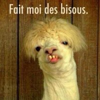 Mir Yassine (@yassi93m) 's Twitter Profile