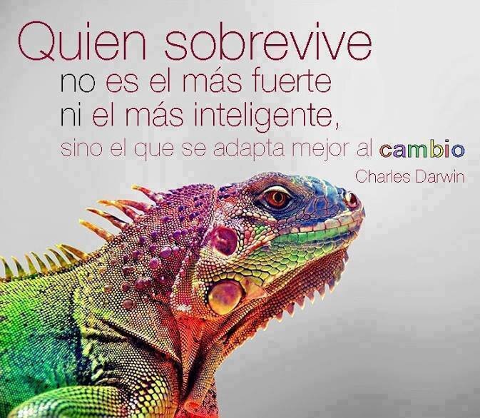 quela97's profile picture. 