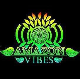 AmazonVibes's profile picture. Trazer inovações para os eventos de música eletrônica, com qualidade e segurança, por meio de metodologias ágeis de desenvolvimento de Projetos