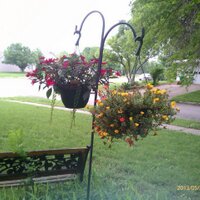 Joyce McCray Pearson (@jmccraypearson) 's Twitter Profile