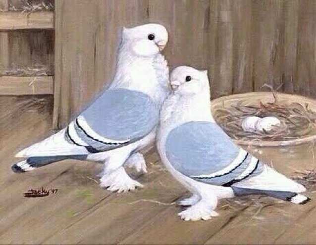 من يسأل عنك بأستمرار هو من يستحق مكانه خاصه في قلبك