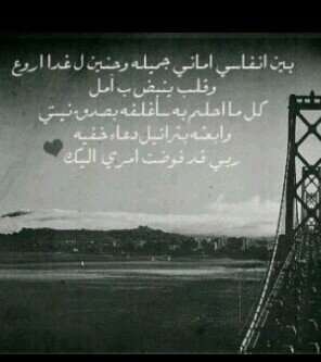 ‏‏‏‏‏‏‏‏‏‏‏‏‏بصفحتي آما آكون عآشقه آمآ حزينه يستهويني الخيآل همي رضآء خالقي ثم وَ والدي , حيآتي الشخصيه مُلكي انآ فقط ‏​♥  :