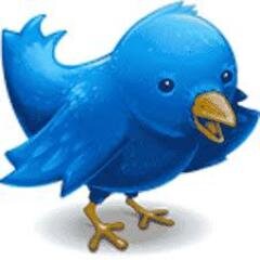 ik maak je tijdlijn complete en ik follow altijd terug. en leuke tienerdingen ik follow echt altijd terug be strong!