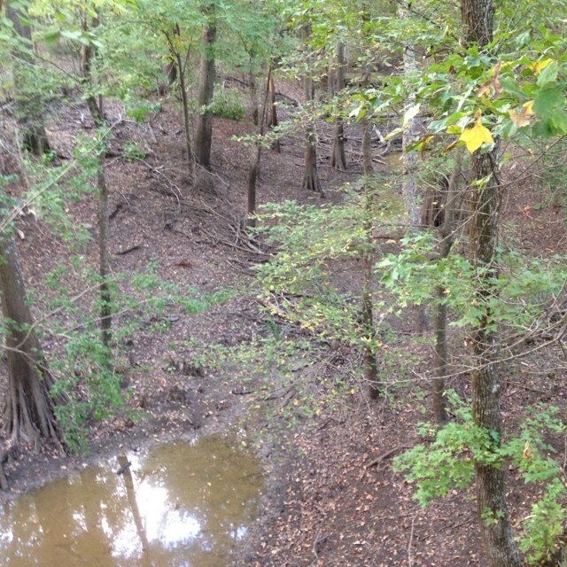 justplayharder's profile picture. 