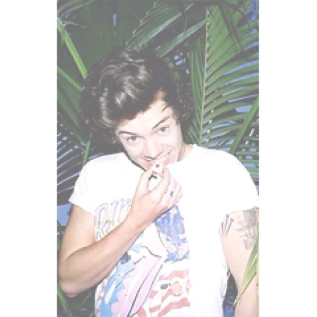 tanktopharry2's profile picture. hello :) i just gave you a follow! all you have to do to keep this follow is to go and follow my main acc: @tanktopharry  *i will unfollow if you dont*