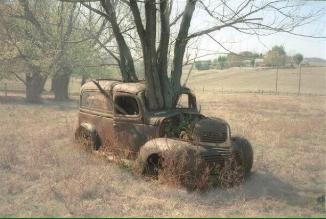 Klukeville's profile picture. 