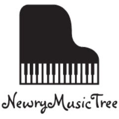 Newry Music Tree provides professional instrumental tuition, primary music workshops and community music projects throughout the Newry area. 
07730365410