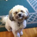 Joan Hoppe-Spink - @luv2sing32 - Twitter