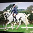 Vicki Gregory - @Dilbydoos - Twitter