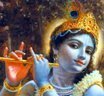 holykrishna’s profile image