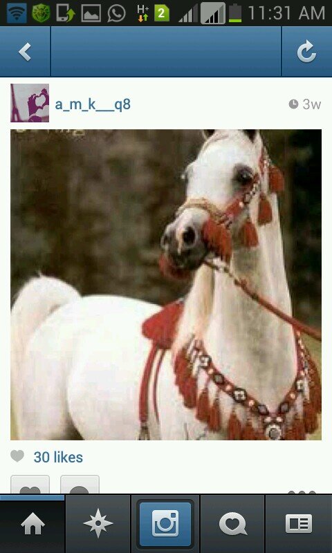 ‏‏‏ــــــــــ♥. 

: أهتم بكَ ؛ ولا آعلم منَ آكونَ فيَ قلبك