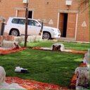 فتئ عنيززه (@233Xxxz) Twitter