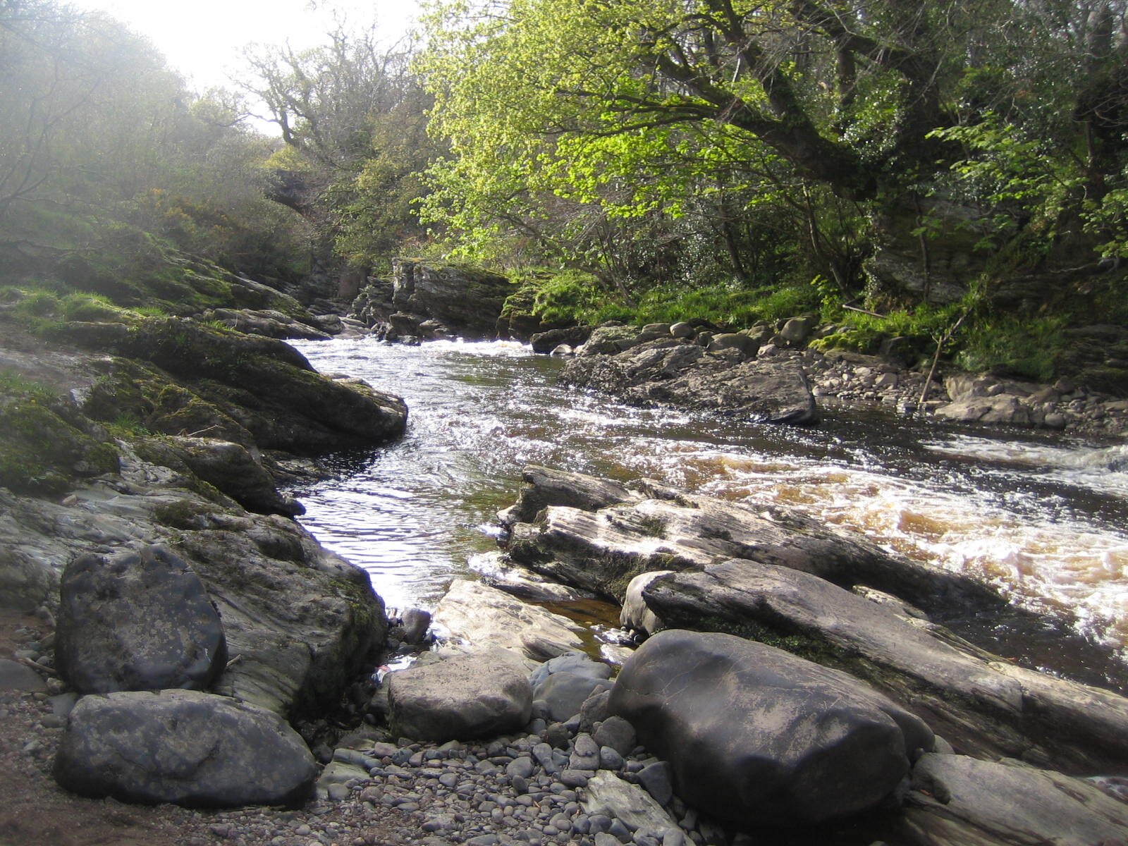 marionbrehm's profile picture. way behind the times in so many ways,but I don't care..