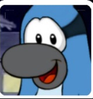 Hello everyone it us Club Penguin Water Slide we wanted to tell everyone that we will be making icons for everyone who want just @ us BEST SLIDES:)