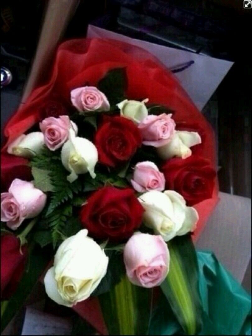 ثقيله دم وسامجه لا وملقوفه كمان. وكل هذا بكيفي. ابنه ال 31 عاما.       اكره الرجال كلهم
