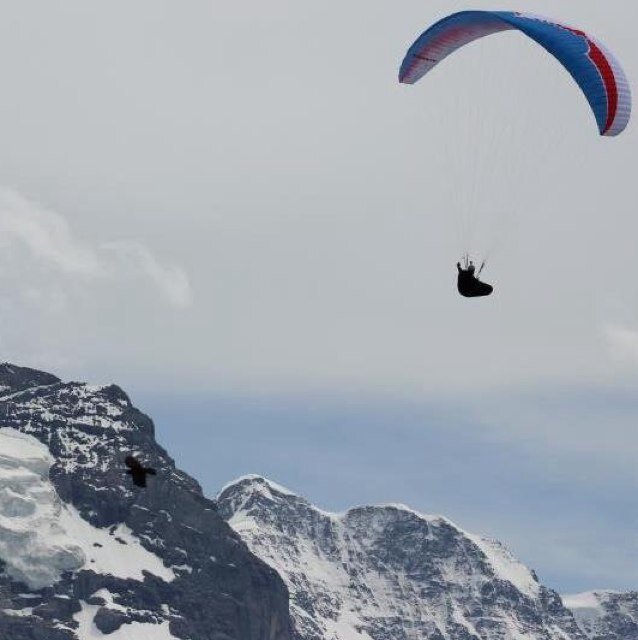 ozoneaddict2's profile picture. Paragliding Twitter Acct