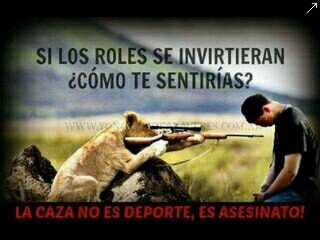 protectora y rescatista de animales