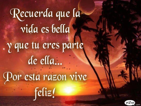 #SiguemeYtesigo