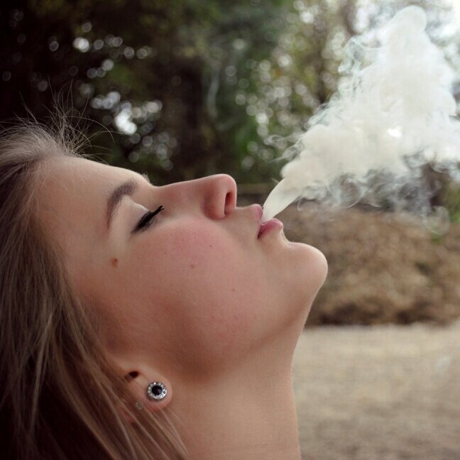 lenasaier's profile picture. 