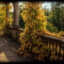 Anna Dupuis - @annahtou - Twitter