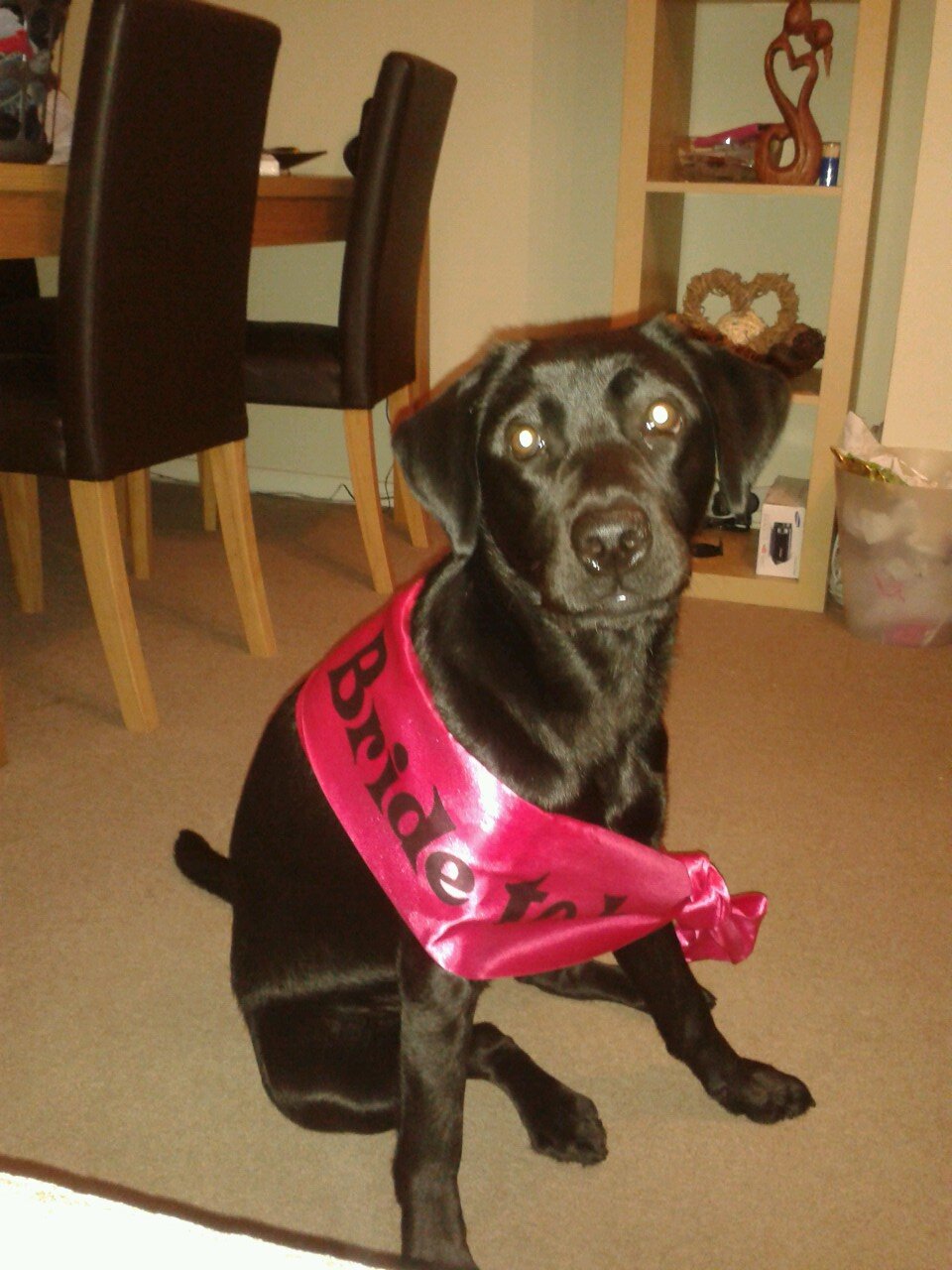 xcrofty1x's profile picture. 