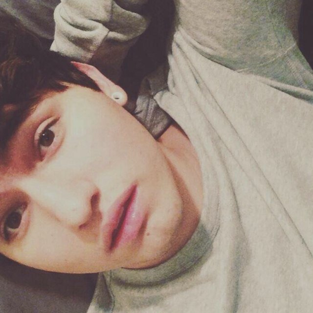 Insert cute bio here : ____________________________________